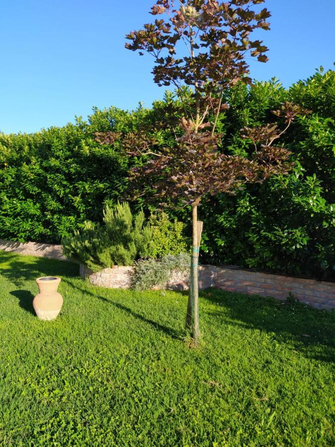 Soggiorno In Relax Correggioverde Buitenkant foto